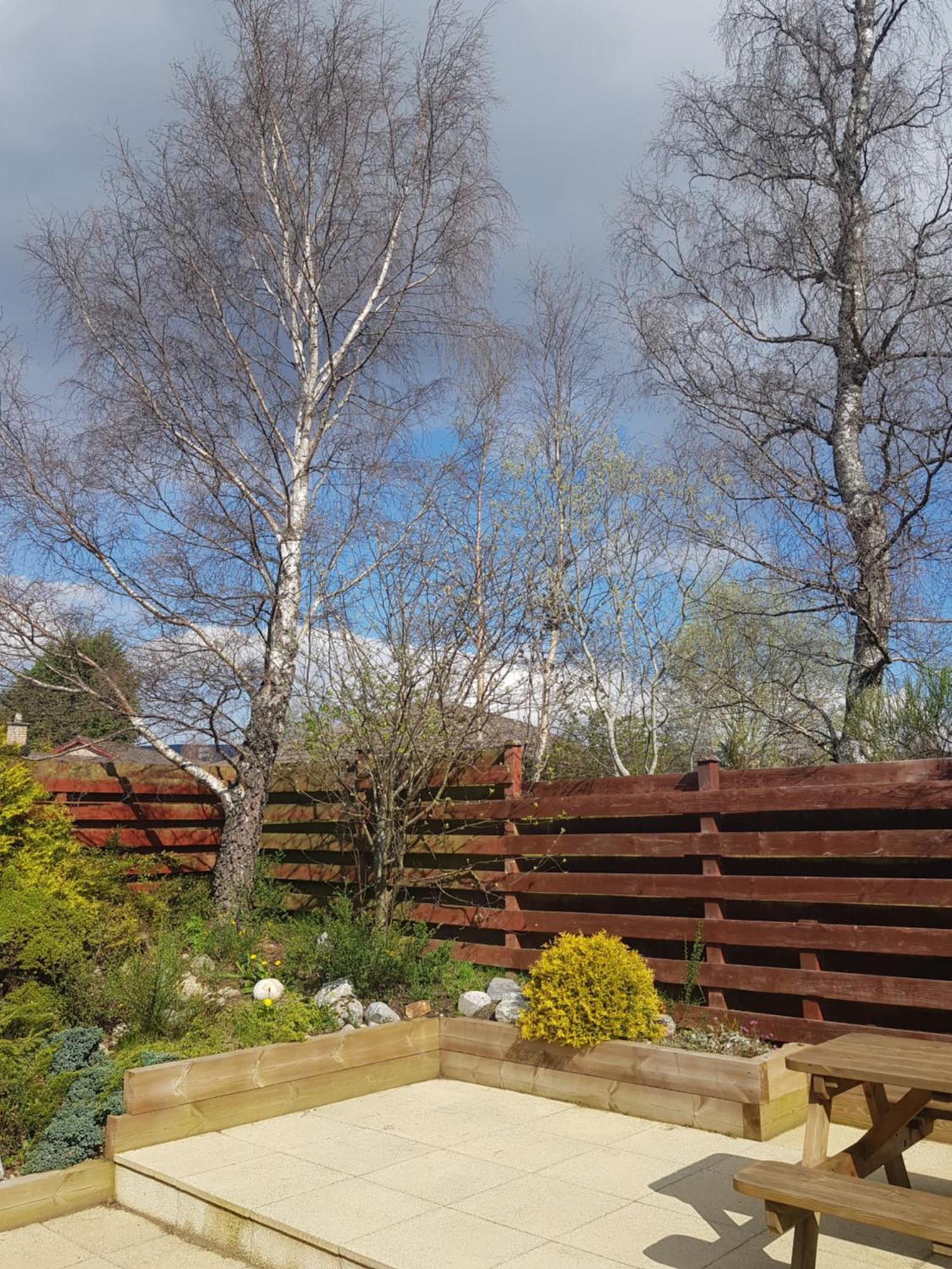 Orange Squirrel Lodge Aviemore Luaran gambar