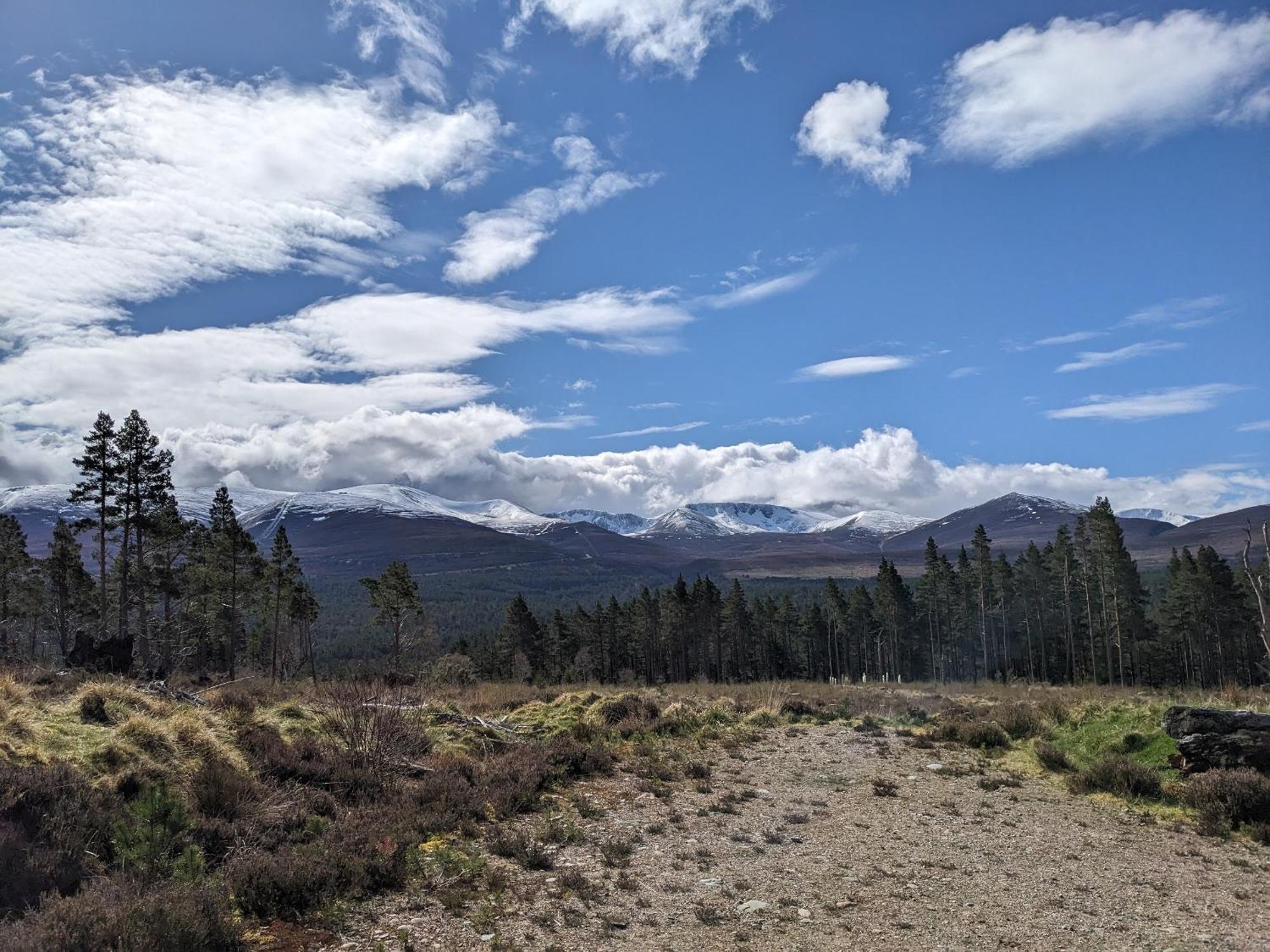 Orange Squirrel Lodge Aviemore Luaran gambar